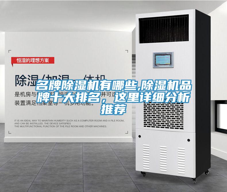 名牌91免费网站在线观看有哪些,91免费网站在线观看品牌十大排名，这里详细分析推荐