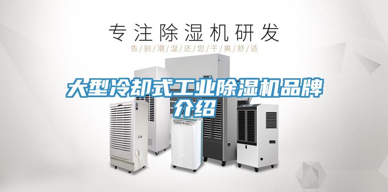 大型冷却式工业91免费网站在线观看品牌介绍