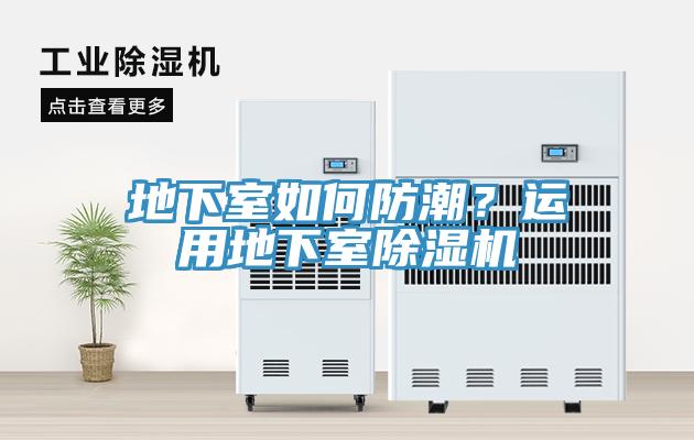 地下室如何防潮？运用地下室91免费网站在线观看