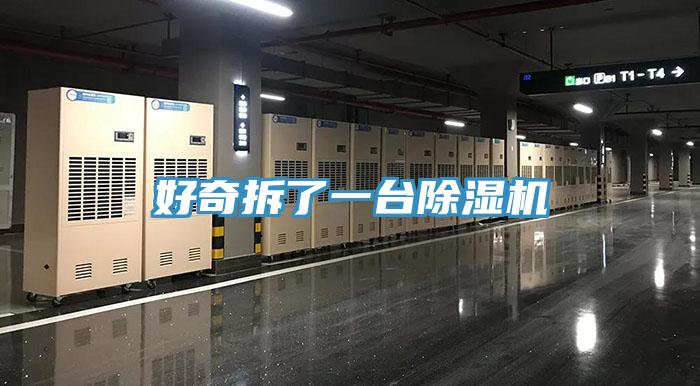 好奇拆了一台91免费网站在线观看