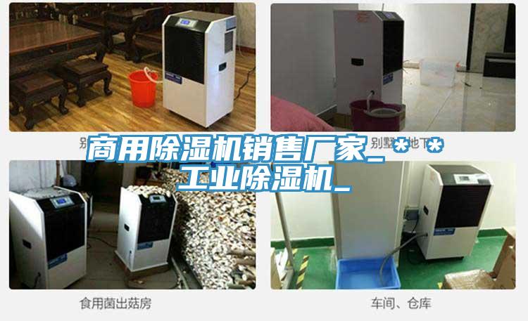 商用91免费网站在线观看销售厂家_＊＊工业91免费网站在线观看_