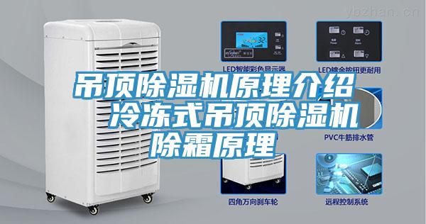 吊顶91免费网站在线观看原理介绍  冷冻式吊顶91免费网站在线观看除霜原理