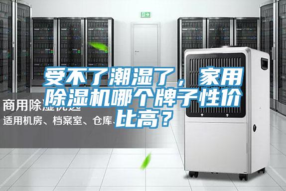 受不了潮湿了，家用91免费网站在线观看哪个牌子性价比高？