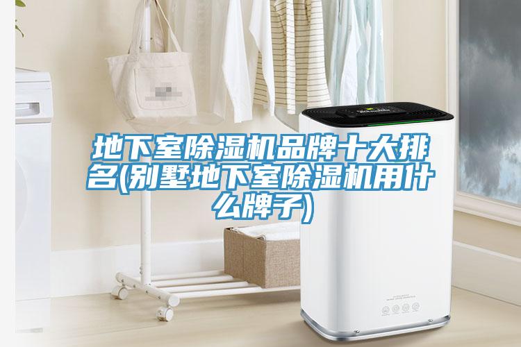 地下室91免费网站在线观看品牌十大排名(别墅地下室91免费网站在线观看用什么牌子)