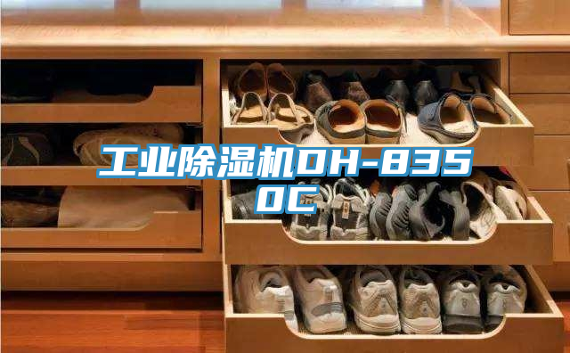 工业91免费网站在线观看DH-8350C