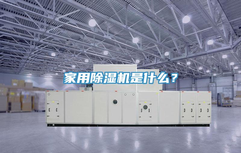 家用91免费网站在线观看是什么？