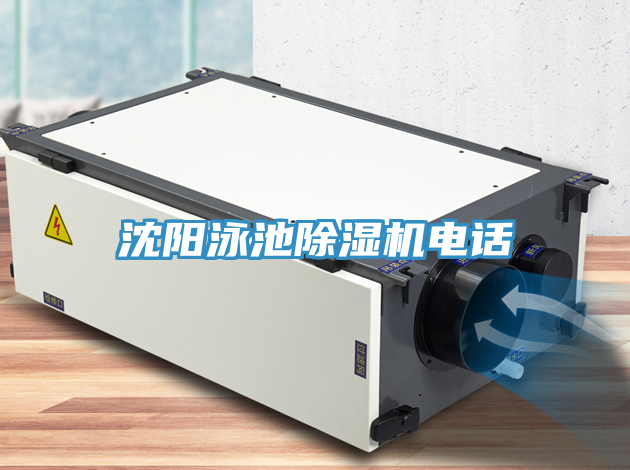 沈阳泳池91免费网站在线观看电话