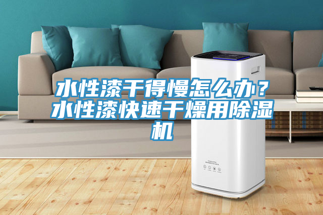水性漆干得慢怎么办？水性漆快速干燥用91免费网站在线观看