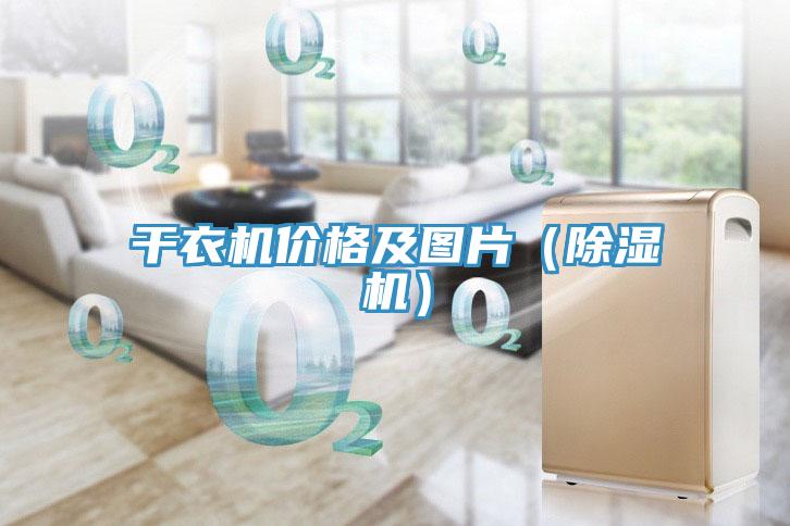 干衣机价格及图片（91免费网站在线观看）