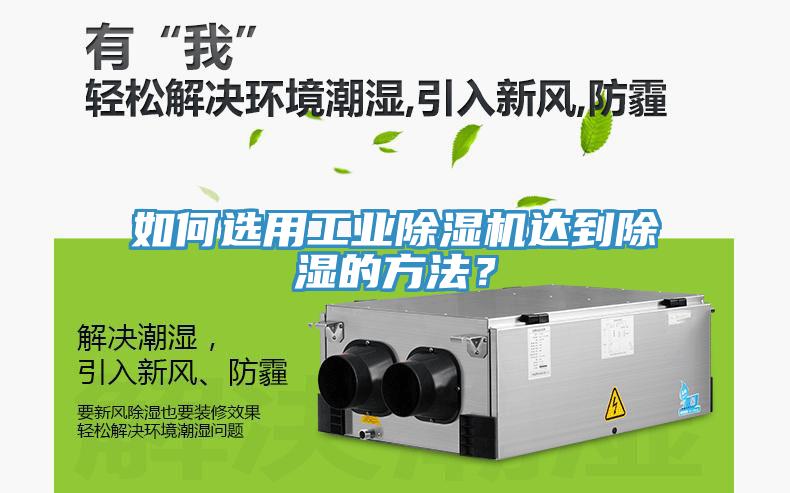 如何选用工业91免费网站在线观看达到除湿的方法？