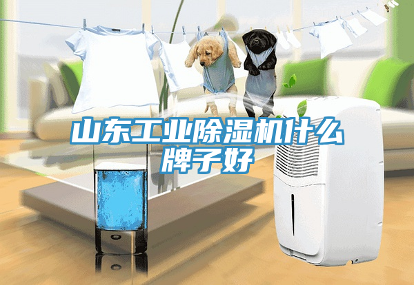 山东工业91免费网站在线观看什么牌子好