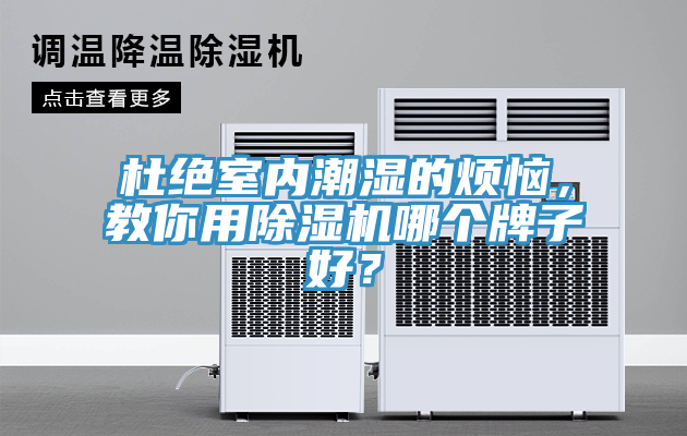 杜绝室内潮湿的烦恼，教你用91免费网站在线观看哪个牌子好？