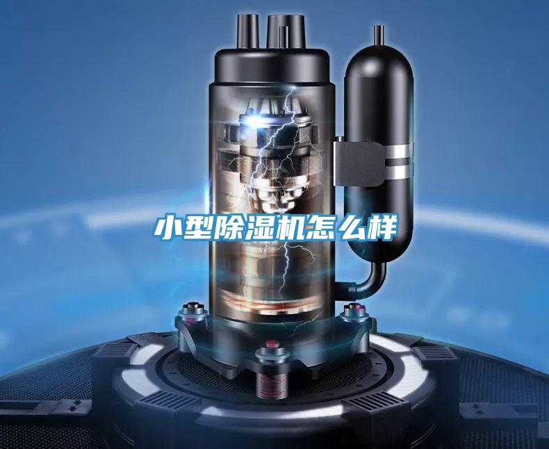 小型91免费网站在线观看怎么样