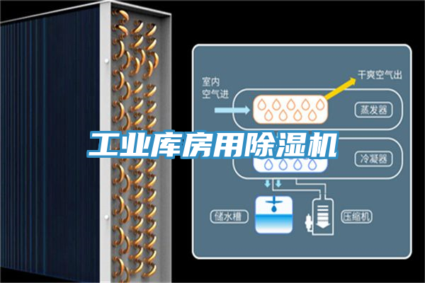 工业库房用91免费网站在线观看