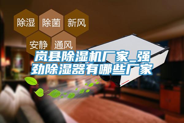 岚县91免费网站在线观看厂家_强劲除湿器有哪些厂家