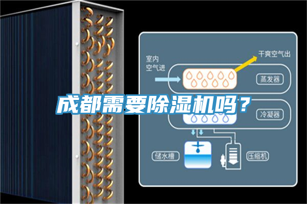 成都需要91免费网站在线观看吗？