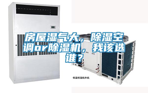 房屋湿气大，除湿空调or91免费网站在线观看，我该选谁？