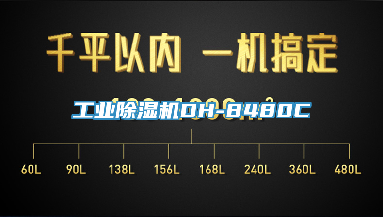 工业91免费网站在线观看DH-8480C