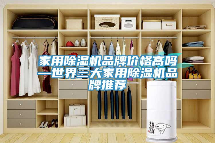 家用91免费网站在线观看品牌价格高吗—世界三大家用91免费网站在线观看品牌推荐