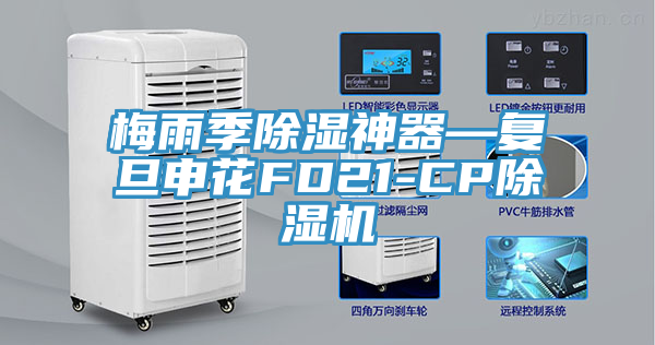 梅雨季除湿神器—复旦申花FD21-CP91免费网站在线观看