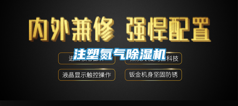 注塑氮气91免费网站在线观看