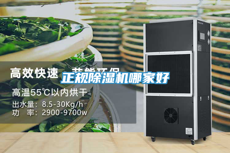 正规91免费网站在线观看哪家好
