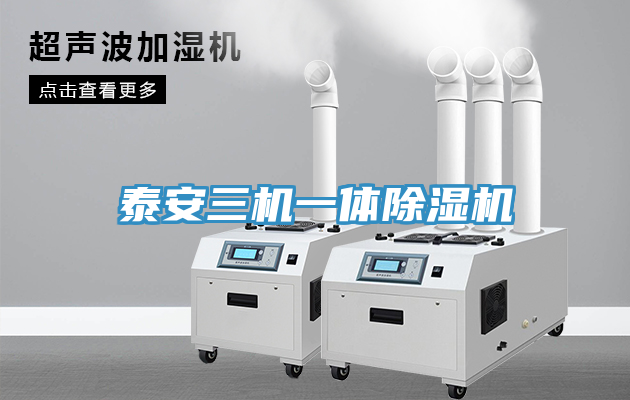 泰安三机一体91免费网站在线观看