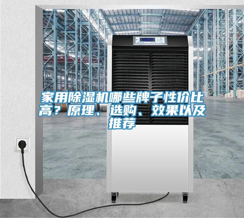 家用91免费网站在线观看哪些牌子性价比高？原理、选购、效果以及推荐