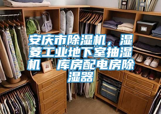 安庆市91免费网站在线观看，湿菱工业地下室抽湿机  库房配电房除湿器