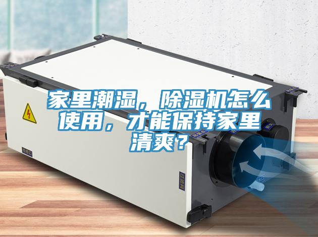 家里潮湿，91免费网站在线观看怎么使用，才能保持家里清爽？