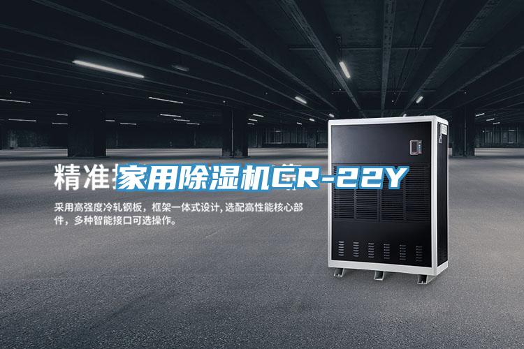 家用91免费网站在线观看CR-22Y