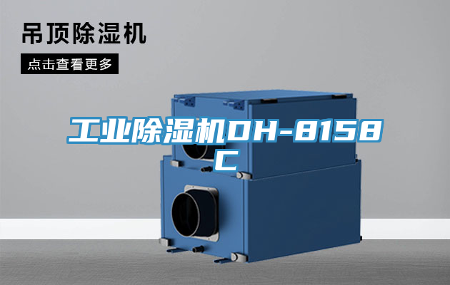 工业91免费网站在线观看DH-8158C