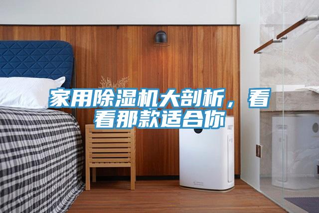家用91免费网站在线观看大剖析，看看那款适合你