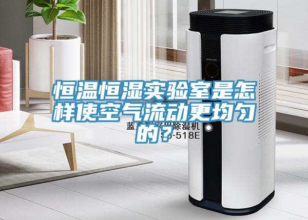 恒温恒湿实验室是怎样使空气流动更均匀的？