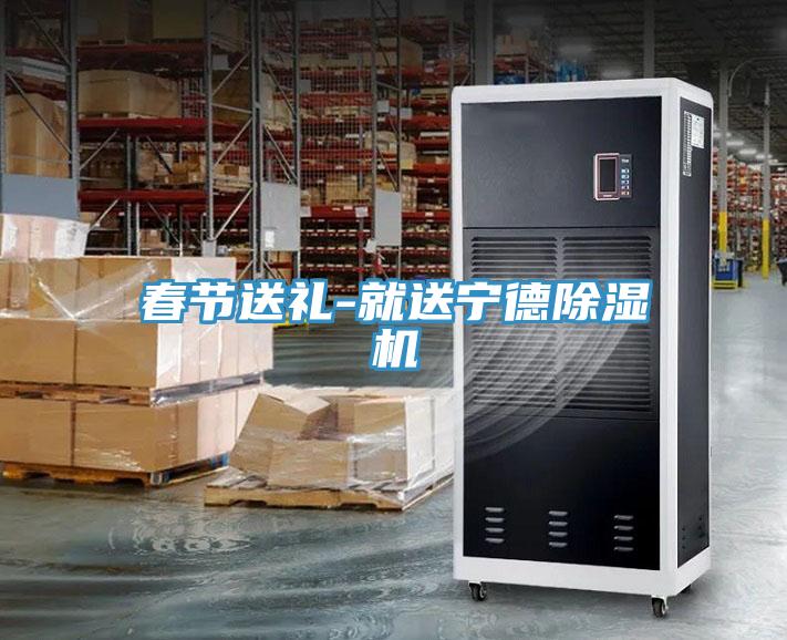 春节送礼-就送宁德91免费网站在线观看