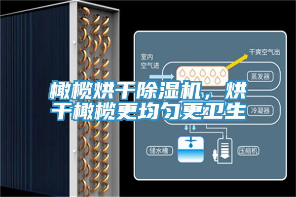 橄榄烘干91免费网站在线观看，烘干橄榄更均匀更卫生