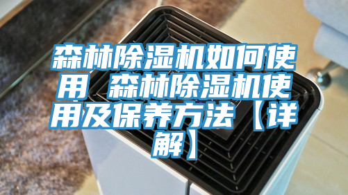 森林91免费网站在线观看如何使用 森林91免费网站在线观看使用及保养方法【详解】