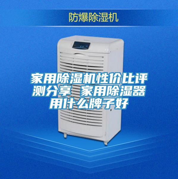家用91免费网站在线观看性价比评测分享 家用除湿器用什么牌子好