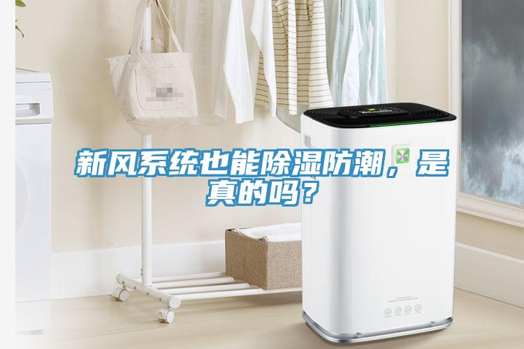 新风系统也能除湿防潮，是真的吗？