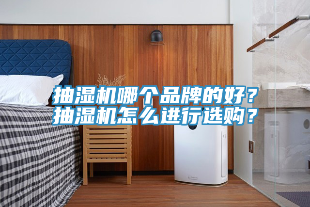 抽湿机哪个品牌的好？抽湿机怎么进行选购？