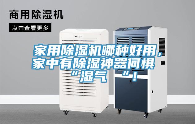 家用91免费网站在线观看哪种好用，家中有除湿神器何惧 “湿气 “！