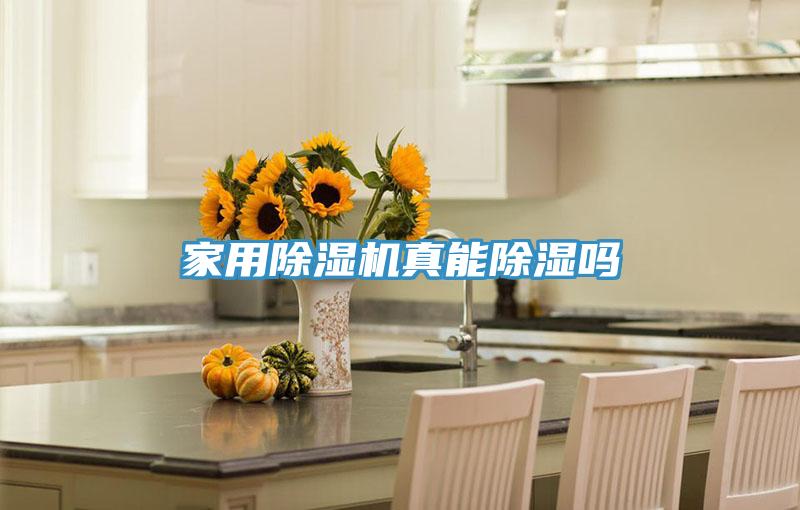 家用91免费网站在线观看真能除湿吗