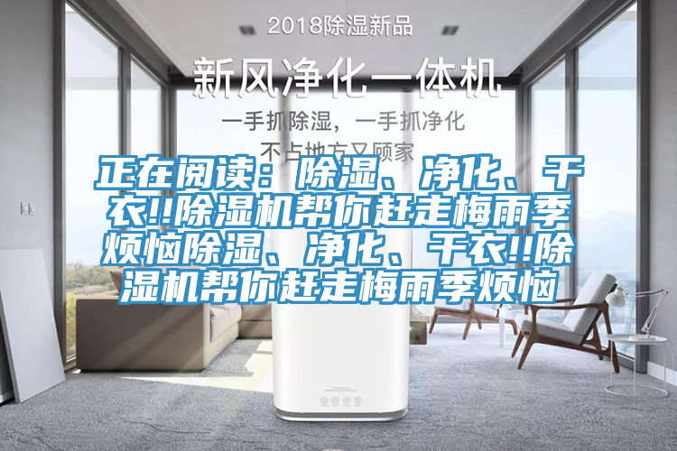 正在阅读：除湿、净化、干衣!!91免费网站在线观看帮你赶走梅雨季烦恼除湿、净化、干衣!!91免费网站在线观看帮你赶走梅雨季烦恼