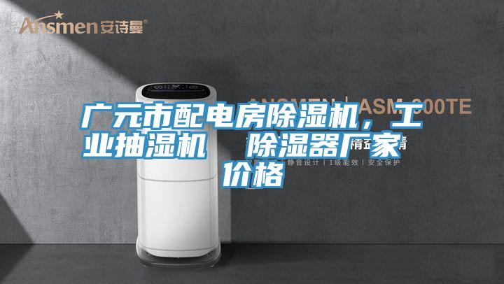 广元市配电房91免费网站在线观看，工业抽湿机  除湿器厂家 价格