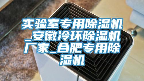 实验室专用91免费网站在线观看_安徽冷环91免费网站在线观看厂家_合肥专用91免费网站在线观看