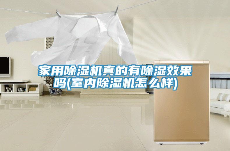 家用91免费网站在线观看真的有除湿效果吗(室内91免费网站在线观看怎么样)