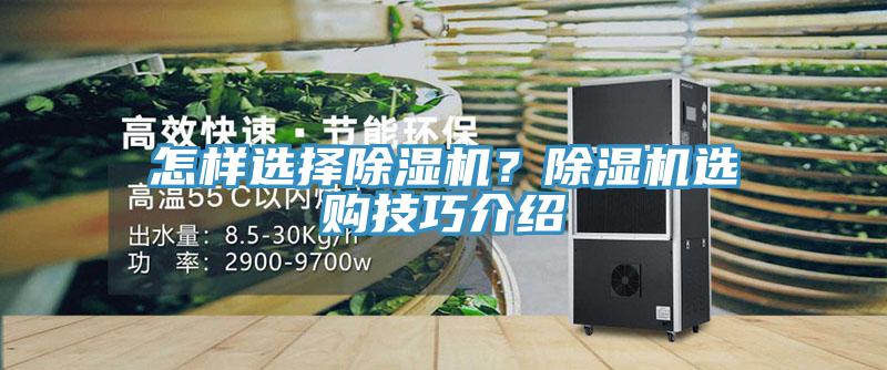 怎样选择91免费网站在线观看？91免费网站在线观看选购技巧介绍