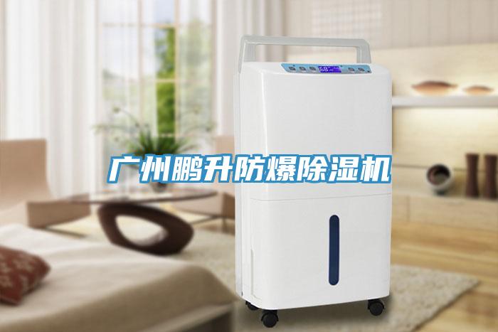 广州鹏升防爆91免费网站在线观看