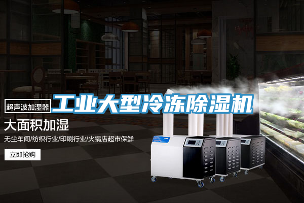 工业大型冷冻91免费网站在线观看