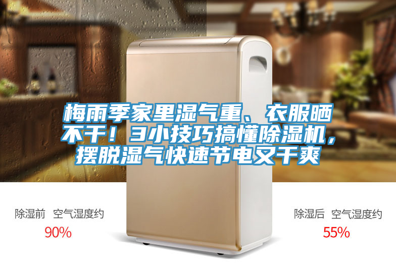 梅雨季家里湿气重、衣服晒不干！3小技巧搞懂91免费网站在线观看，摆脱湿气快速节电又干爽